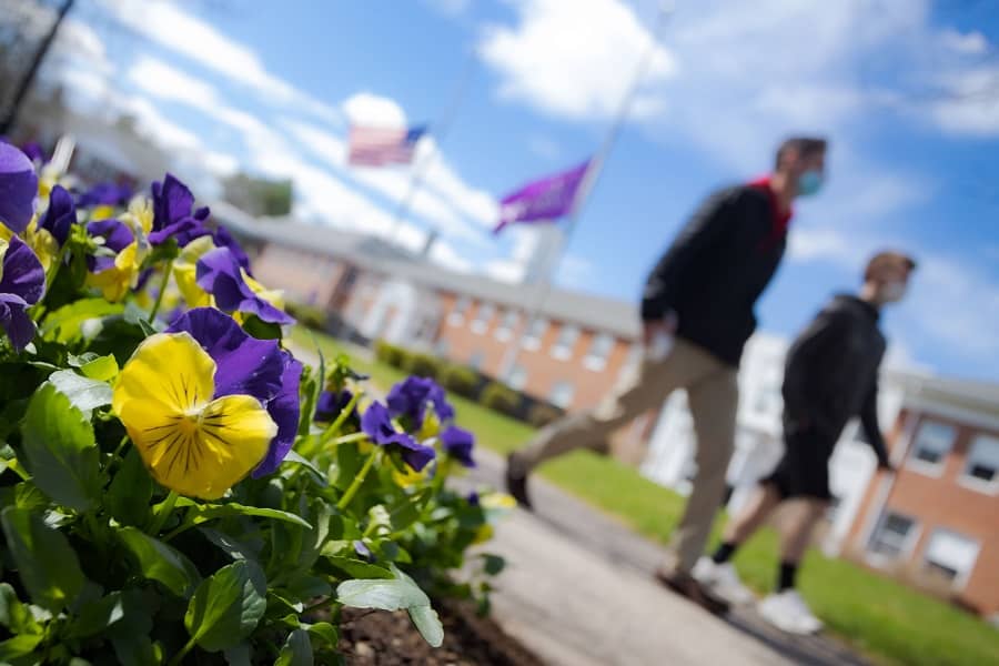 Curry College campus view with flowers and flags