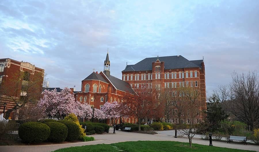 Duquesne University campus blossom