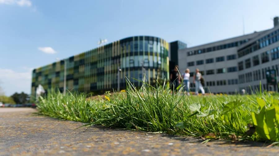 Saxion University of Applied Sciences campus blur2