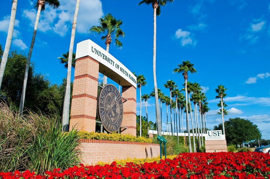 University of South Florida2 900 compressor