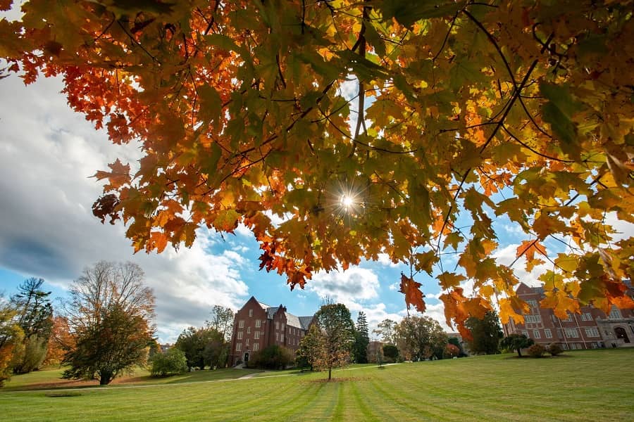 University of Connecticut campus view autumn