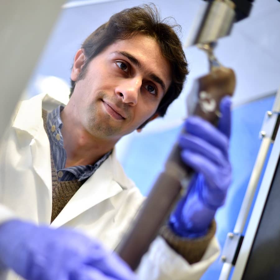 University of Hull sciences