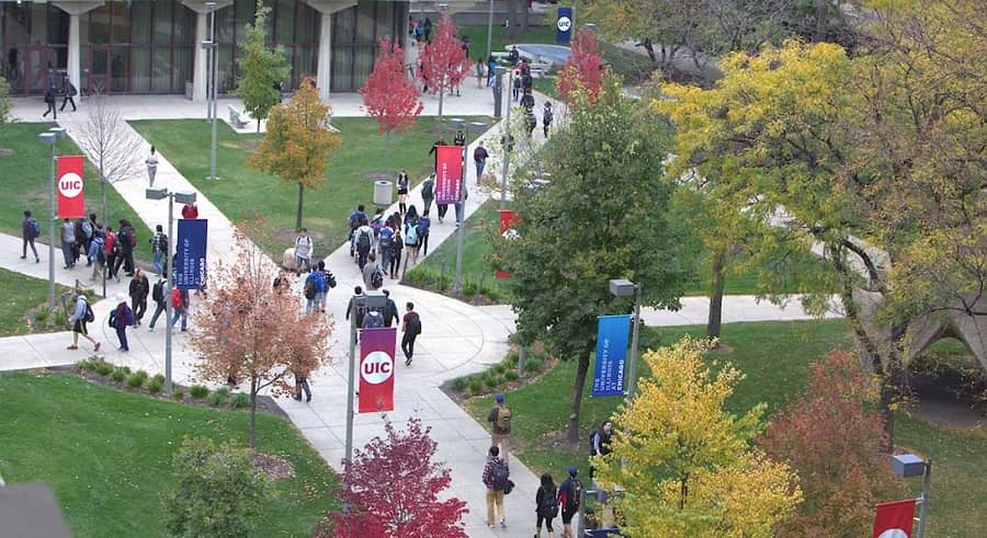 University of Illinois at Chicago students