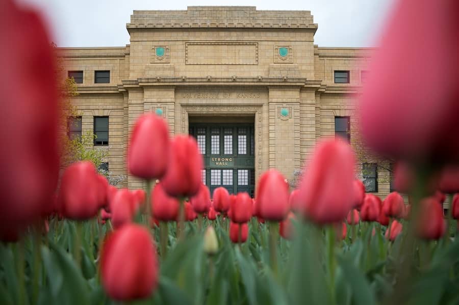 University of Kansas campus flowers