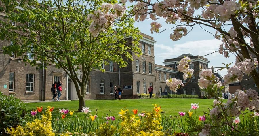 University of Leicester main campus blossom
